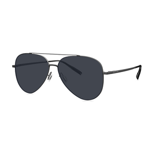 暴龙太阳眼镜飞行员偏光驾驶开车专用帅气墨镜男士BL7167 BL8105