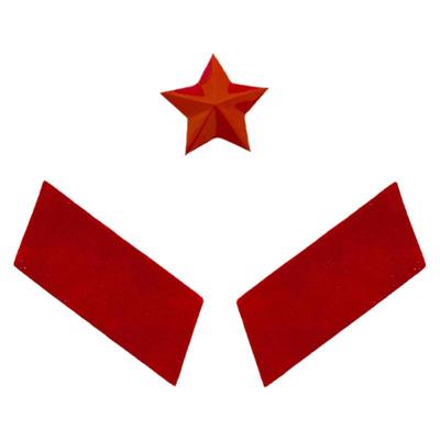 现货65式红领章三点红帽徽军戳印