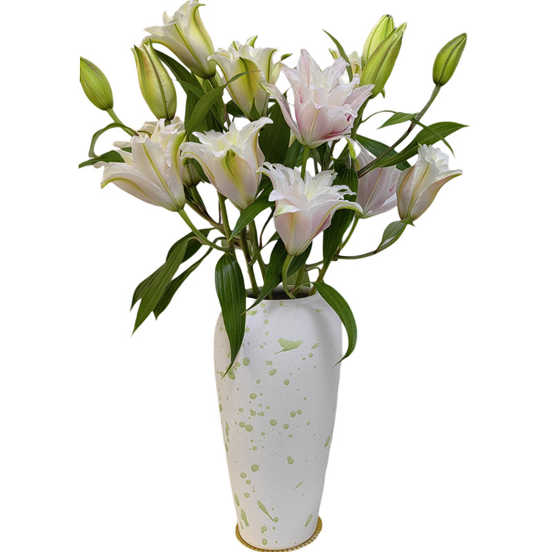 景德镇北欧陶瓷花瓶水养富贵竹百合客厅干鲜花插花瓶家居装饰摆件