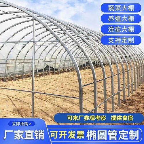大棚拱棚骨架全套种植蔬菜养殖温室冷棚暖棚连体棚椭圆管钢架
