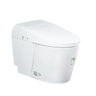 TOTO官方正品轻智能马桶CES7F110ECN座圈加热自动冲水G5(01-B)