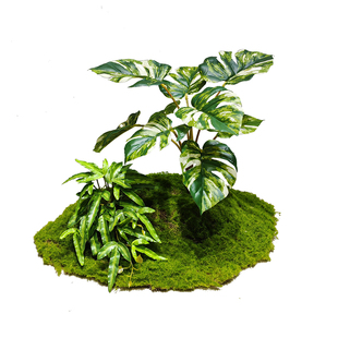 森空间仿真绿植造景植物搭配玄关楼梯角落软装美陈氛围感长条景观