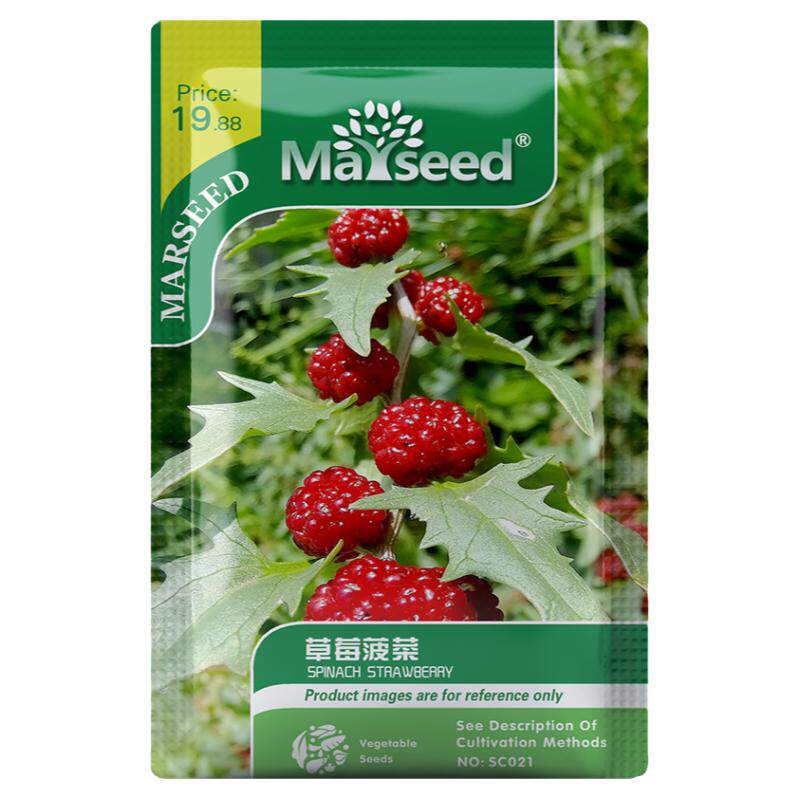 2026年MARSEED新品蔬菜种子