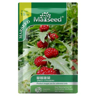 2026年MARSEED新品蔬菜种子