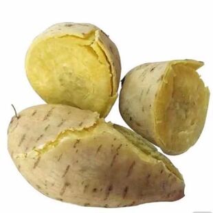 广东正宗潮汕现挖白皮黄心板栗番薯香甜软糯无丝白薯新鲜现挖直发