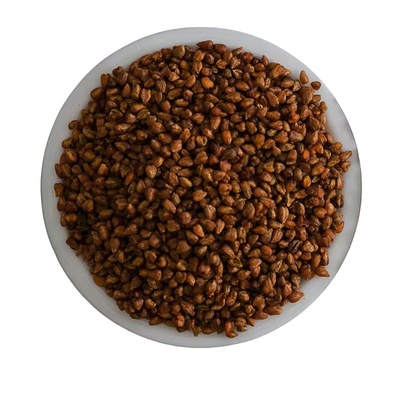 苦荞茶大凉山荞麦茶厂家直销黑苦荞茶饭店专用非特级散装全胚芽茶