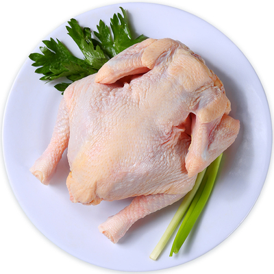 新鲜童子鸡西装鸡三黄鸡顺丰包邮