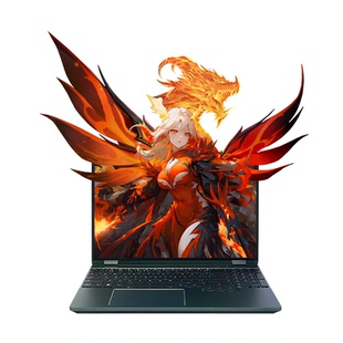 MECHREVO/机械革命 翼龙 16Pro 16英寸游戏本电竞学生笔记本电脑