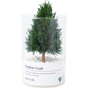 放青松桌面摆件办公桌工位解压绿植摆件送朋友创意礼物