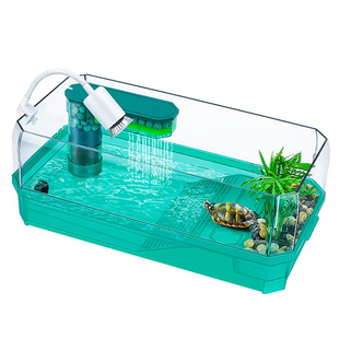 小乌龟活宠物小型观赏家养珍珠巴西龟幼龟苗耐活活体中华草龟好养