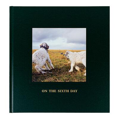 【现货】亚历山德拉·桑吉内蒂：第六日英文摄影集摄影师专辑精装进口原版外版书Alessandra Sanguinetti: On the Sixth Day
