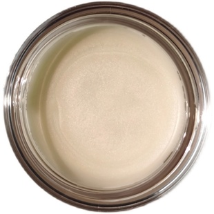 兰芝润唇膏3.5g润色滋润保湿补水嫩滑弹力光泽女晶冻水光精华唇蜜