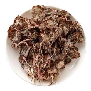 金线莲正宗福建深山老林野生金线莲原生态生长整株新货特级无硫