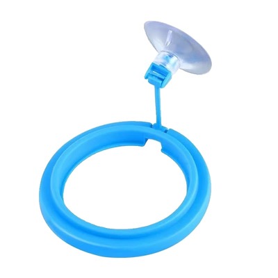 鱼缸喂食圈喂食器定点投喂防污水