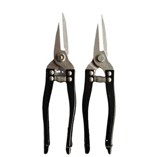 广东正品罗定不锈钢果剪采砂糖橘小黄剪刀摘果剪小大号圆头果子剪