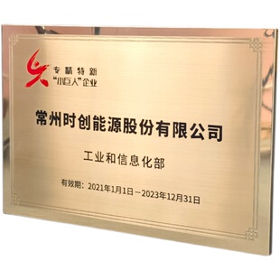 广东省专精特新铜牌定做定制创新型小巨人中小企业腐蚀牌纯铜制作