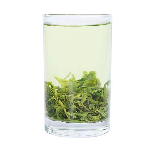日照绿茶新茶叶山东炒青无农害手工浓香高山春茶散装500g袋装