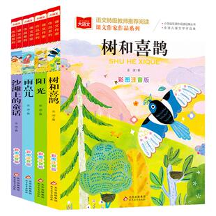 金波四季美文精读一年级二年级课外阅读书籍注音版雨点儿树和喜鹊阳光沙滩上的童话全套4册小学生阅读书金波四季童话