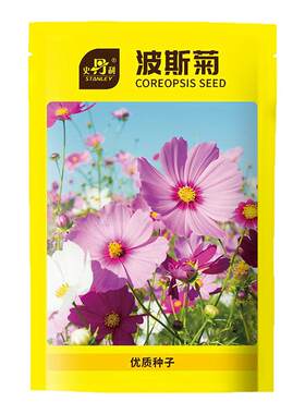 史丹利格桑花种子矮杆波斯菊