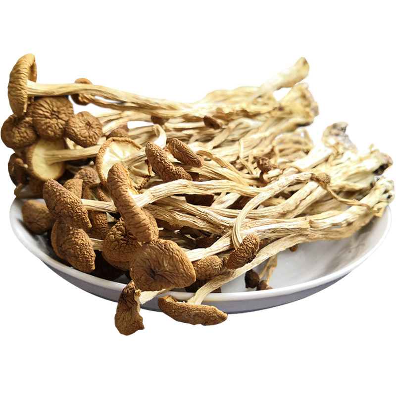 古田不开伞茶树菇干货散装食材