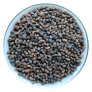 秦岭深山女贞子500g天然无硫新干货另售女贞子和墨旱莲组合搭桑葚