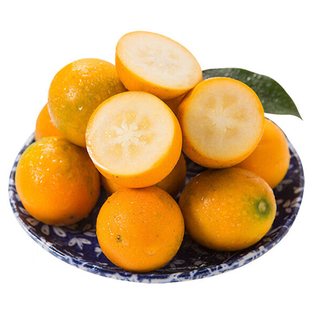 正宗脆蜜金柑广西融安金桔水果脆蜜金桔纯甜第三代大金桔5A级果王