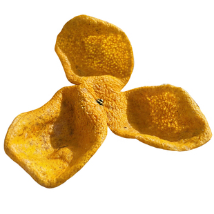 新会正宗陈皮2025年大红皮圈枝茶枝柑陈皮干茶鲜皮新货官方旗舰店