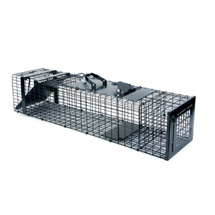 防黄鼠狼神器室内超市仓库户外养殖场养鸡鸭舍驱逐黄鼠狼药克星