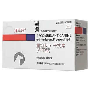 犬用中科拜克重组干扰素犬瘟细小犬用犬冠状病流感支气管注射肺炎