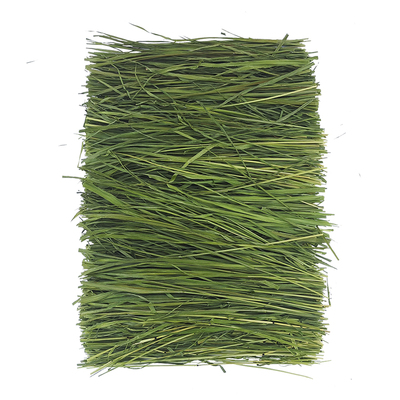 7A级25年新精品烘干提摩西草段兔子草龙猫荷兰猪牧草岷县北提500g