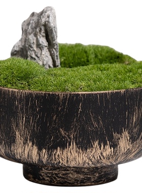 永生青苔苔藓花艺摆件