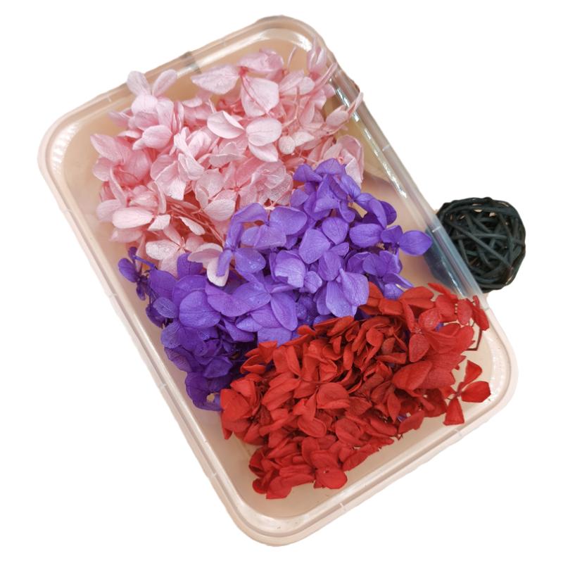 永生花绣球渐变色手工diy干花婚鞋贴脸玻璃罩花器团建活动花艺课