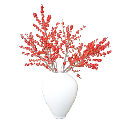 北美冬青年宵花山东基地高品质