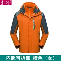 Оранжевый съемный вкладыш