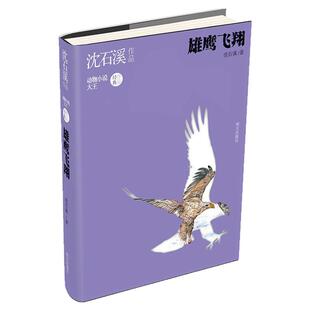 雄鹰飞翔沈石溪 正版 动物小说大王沈石溪的书系列作品 6-9-12岁四五六年级中小学生课外阅读图书籍 明天出版社沈石溪动物小说