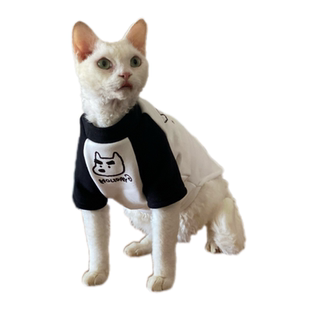 秋冬斯芬克斯无毛猫衣服德文韩系可爱纯棉打底衫小猫狗狗加绒卫衣