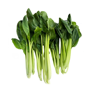 有机长油菜新鲜绿叶小青菜长杆小油菜涮火锅菜清炒健康无农残蔬菜