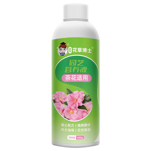 茶花专用肥促开花营养液山茶花