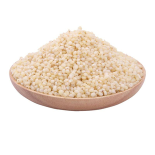 矮杆小白人高粱种子食用矮白高粱种子高产春播夏季白米高粱种子