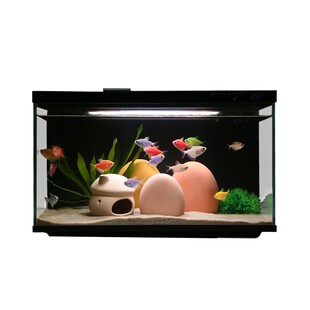 鱼缸造景装饰摆件溪流缸南美风青龙石沉木石底砂小米鱼缸造景全套