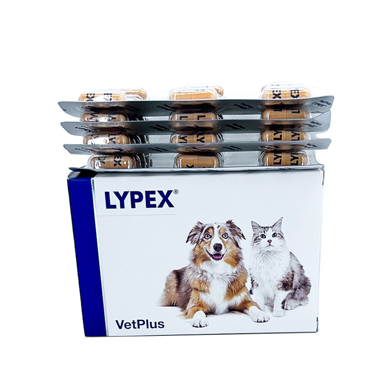 利派斯胰腺炎宠物多酶素胶囊猫狗