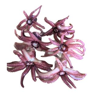 小鱿鱼须新鲜冷冻翻花鱿鱼头小八爪须净重无冰衣烧烤炒菜火锅食材