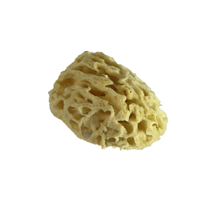 进口 kusakabe日下部天然海绵希腊水彩用绘画肌理特殊效果