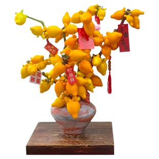 五代同堂黄金果鲜花鲜切枝四季水培室内植物好养家用插花旺宅花卉