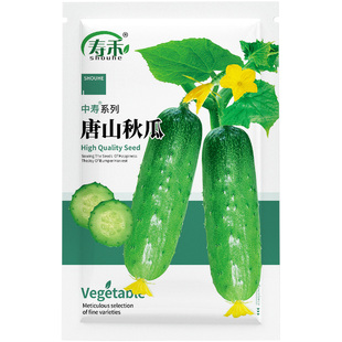 唐山秋瓜种子秋季旱黄瓜老水果秋适合四季盆栽蔬菜种籽孑八月种的
