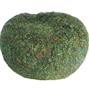 安溪铁观音冰茶乌龙湿茶浓香茶叶 新茶 冻茶带梗/无梗冰鲜茶 特价