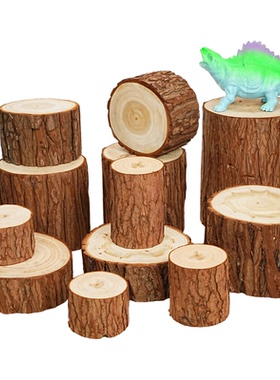 小红书爆款原木摆件木桩