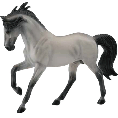 阿帕卢萨纯血标准公母希尔野马