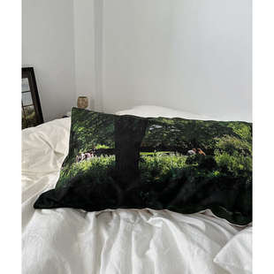 60支长绒棉单品纯棉全棉枕套单个48x74cm一对装 枕芯内胆套枕头皮