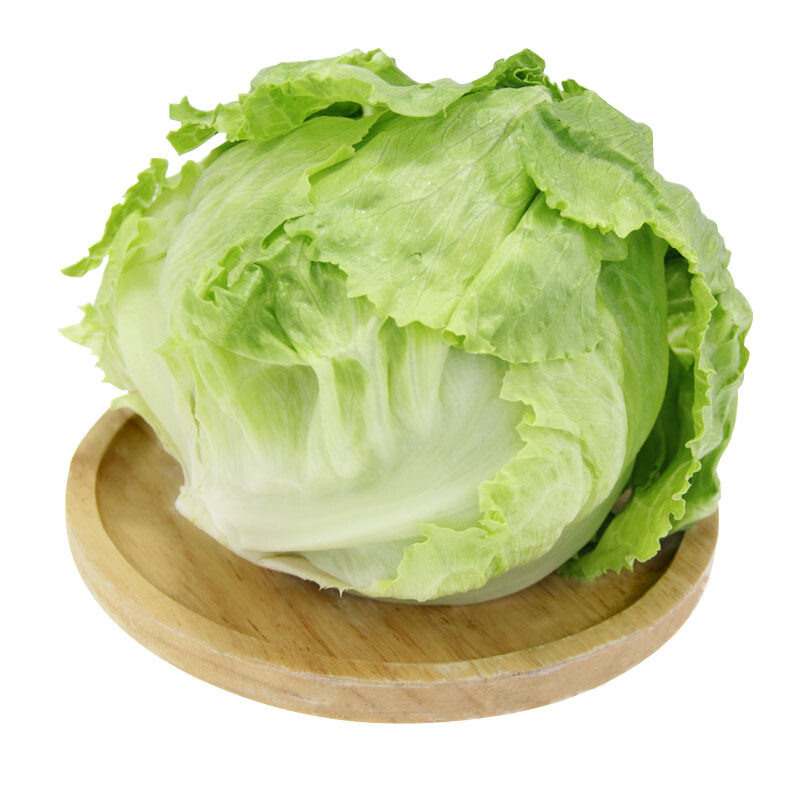 新鲜球生菜圆生菜西生菜汉堡包生菜5斤西餐轻食生吃沙拉蔬菜食材